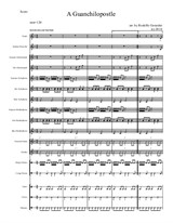A Guanchilopostle for Elementary Mariachi Orff Ensemble (15/40)